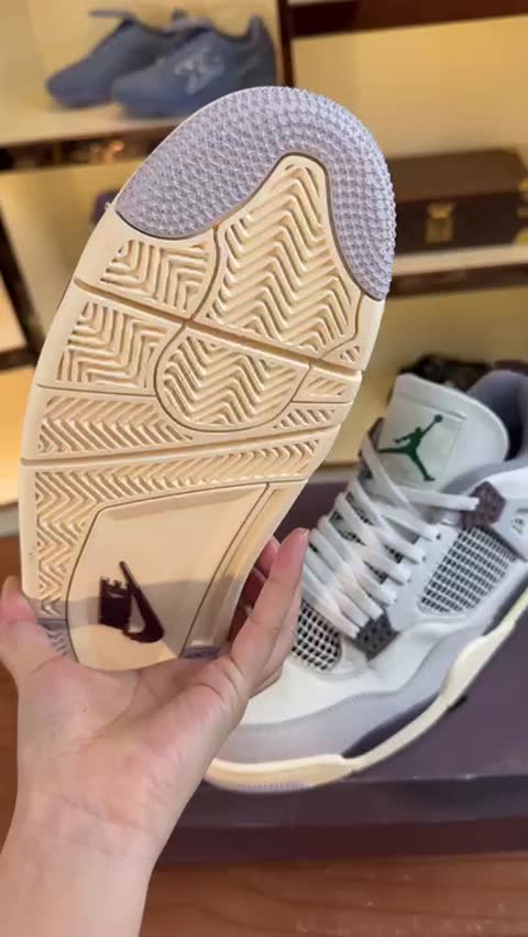 Jordan Nike Dunk Low Pro video preview