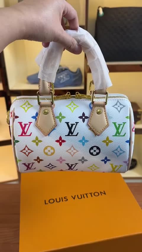 Louis Vuitton Speedy Gm video preview