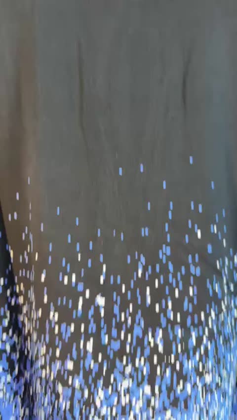 Louis Vuitton Womens Skirt video preview