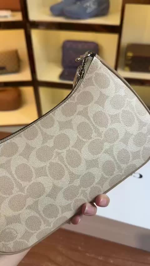 Coach Gucci Loafer video preview